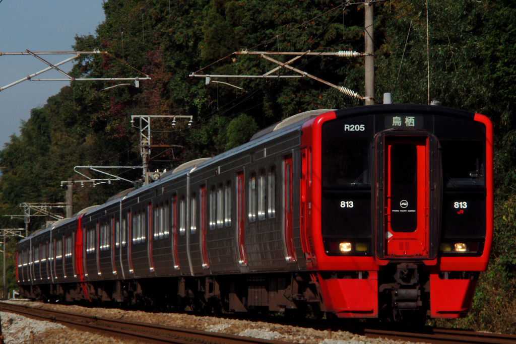 813系